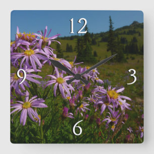 Purple Aster Flowers at Mount Rainier Square Wall Clock