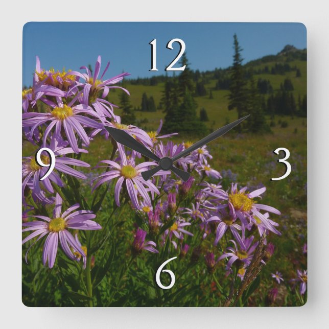 Purple Aster Flowers at Mount Rainier Square Wall Clock (Front)
