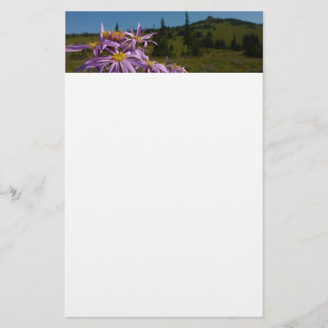 Purple Aster Flowers at Mount Rainier Stationery (Front)