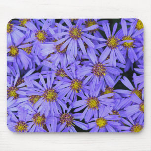 Purple Aster Flowers at RHS Garden Wisley Mouse Pad