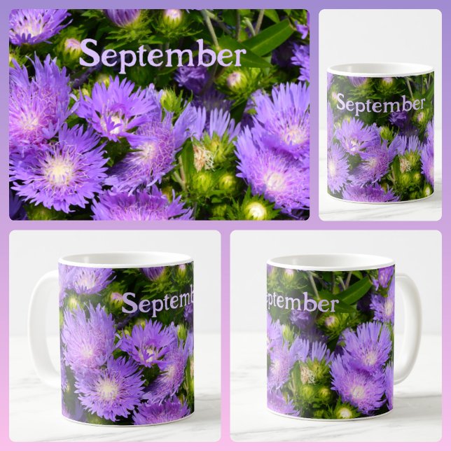 Purple Aster Wildflowers Photographic Floral Coffee Mug (Creator Uploaded)