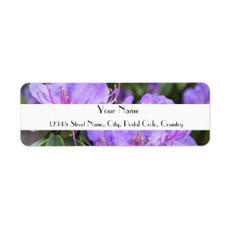 Purple azalea flowers address labels
