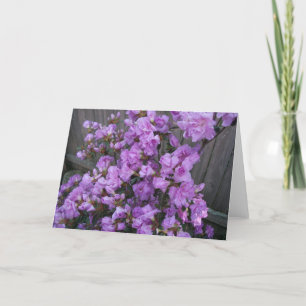 Purple Azaleas Merchandise Card