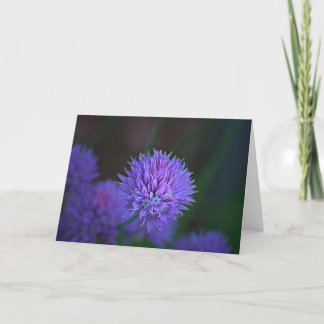 purple balls card