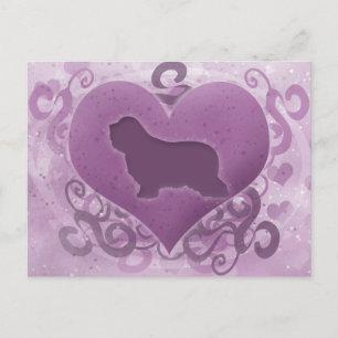 Purple Bearded Collie Valentine Holiday Postcard