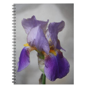 Purple bearded iris notebook