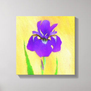 Purple Bearded Iris Painting - Cute Original Dog A Canvas Print