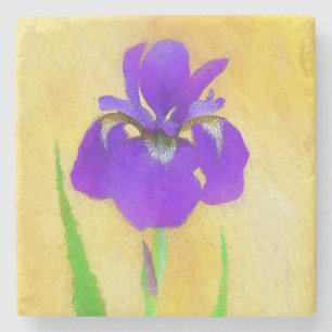 Purple Bearded Iris Painting - Cute Original Dog A Stone Coaster
