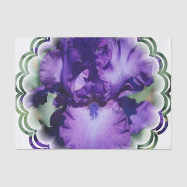 Purple Bearded Iris Tissue Paper (Front)