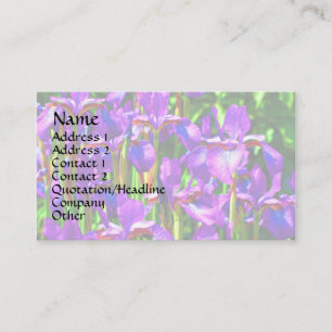 Purple Bearded Irises Floral Business Card