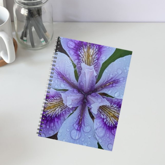 Purple Beardless Iris Floral Notebook (In Situ)