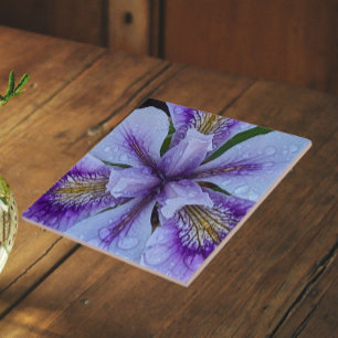  Purple Beardless Iris Floral Tile