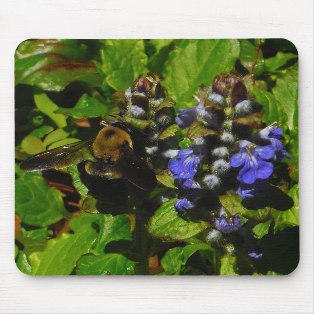 Purple Bee Balm and Bumble Bee Mouse Pad (Front)