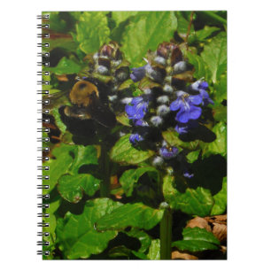 Purple Bee Balm and Bumble Bee Notebook