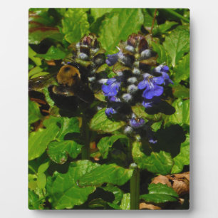 Purple Bee Balm and Bumble Bee Plaque
