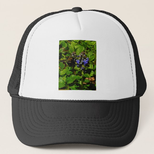 Purple Bee Balm and Bumble Bee Trucker Hat (Front)