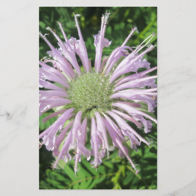 Purple Bee Palm Stationery (Front)