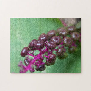 Purple Berries Jigsaw Puzzle