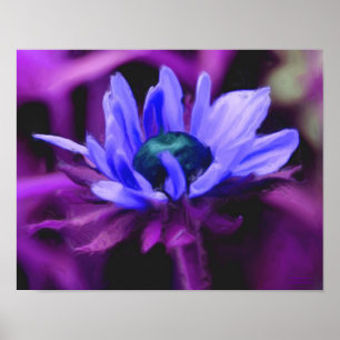 Purple Black Eyed Susan Flower Photo Painting Poster