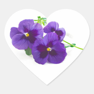 purple   blue   anniversary   flower   Pansy   cut Heart Sticker