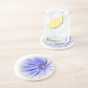 purple blue chicory coaster