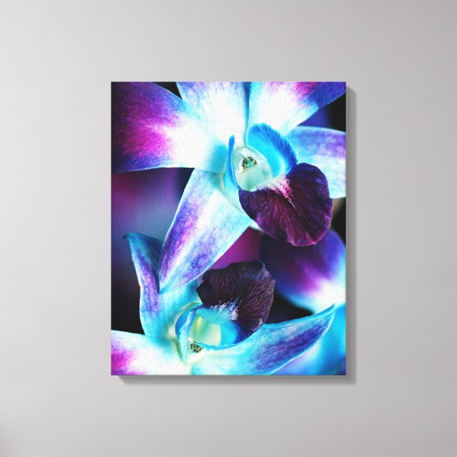 Purple & Blue Dendrobium Orchid Customised Orchids Canvas Print (Front)