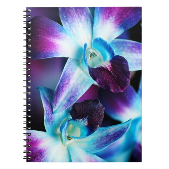Purple & Blue Dendrobium Orchid Customised Orchids Spiral Notebook (Front)
