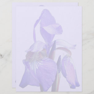 Purple Blue Flag Iris Flower  Custom Letterhead