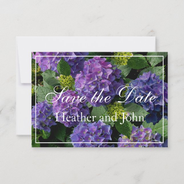 Purple blue periwinkle  hydrangeas save the date (Front)