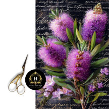 Purple Bottlebrush Flower Decoupage