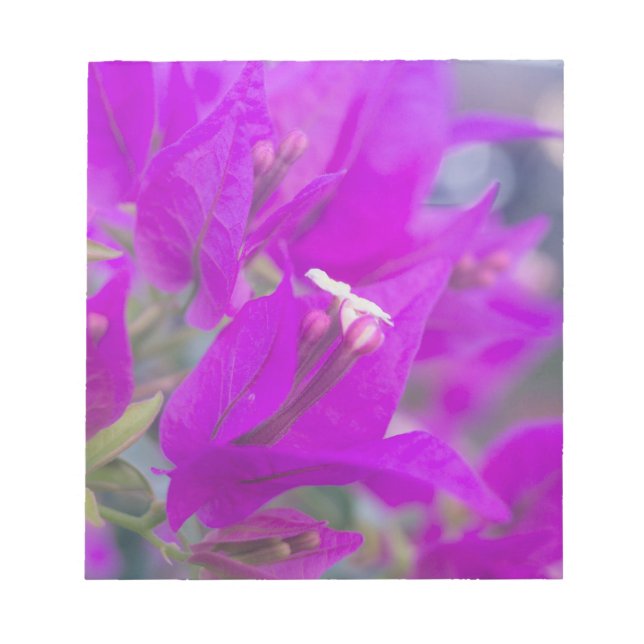 Purple Bougainvillea Notepad (Front)