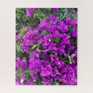 Purple Bougainvillea, Oakland Jigsaw Puzzle