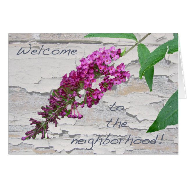 Purple Butterfly Bush Welcome to the Neighbourhood (Front Horizontal)