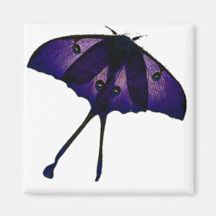 Purple Butterfly in Spring Garden Nature Photo Magnet