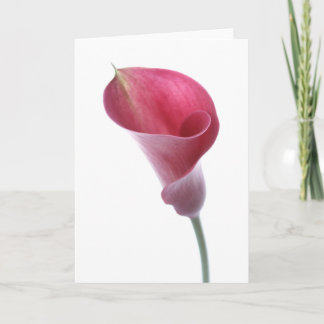 Purple Calla Lily Card