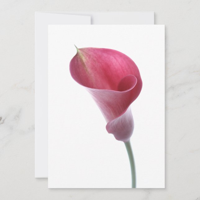 Purple Calla Lily Invitation (Front)