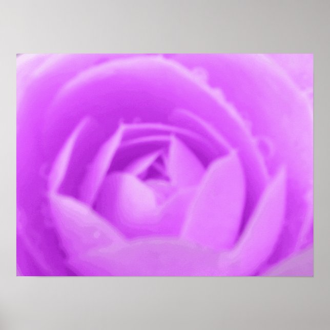 Purple Camellia Print (Front)
