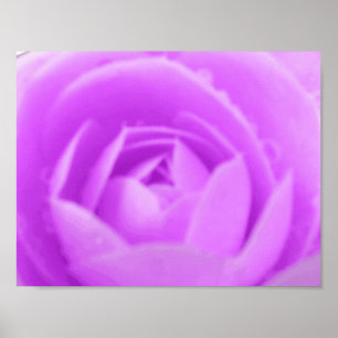 Purple Camellia Print