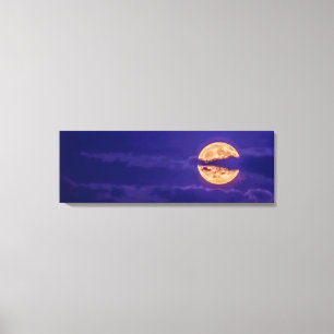 Purple Canvas Print