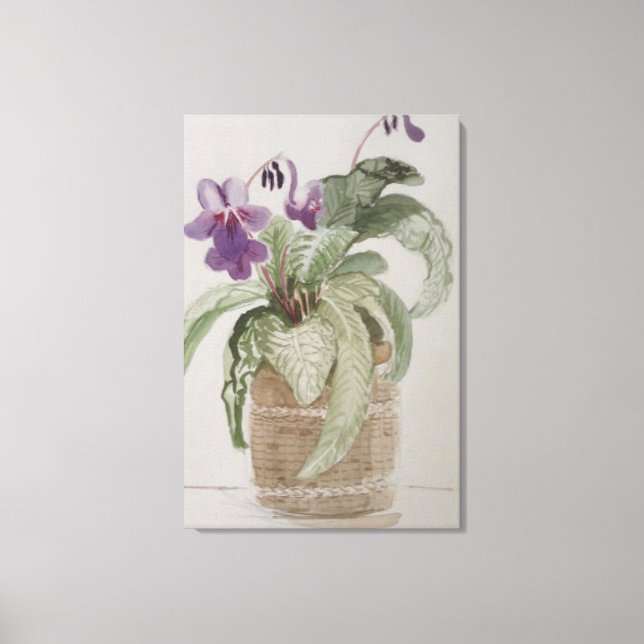 Purple Cape Primrose Watercolour Canvas Print (Front)