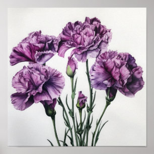 Purple Carnations Flower Art Print Poster