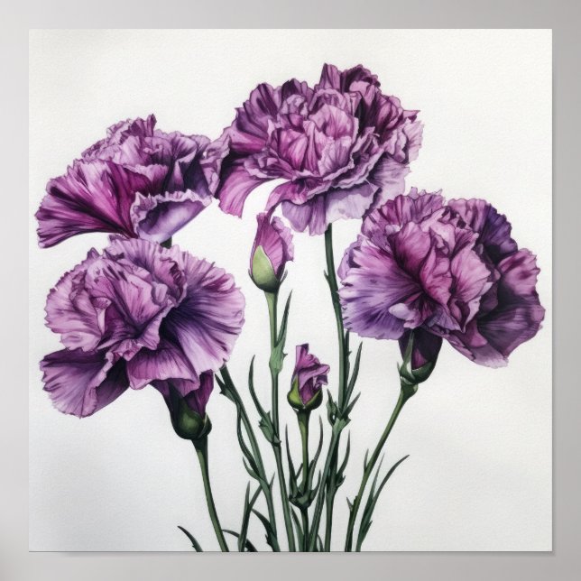 Purple Carnations Flower Art Print Poster (Front)