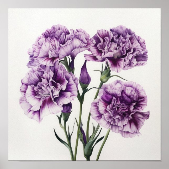 Purple Carnations Flower Art Print Poster (Front)