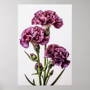 Purple Carnations Flower Art Print Poster