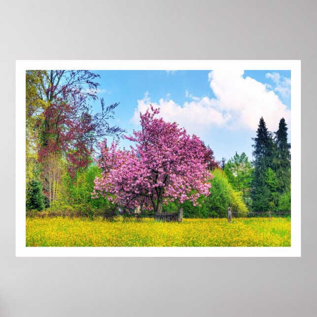 Purple Cherry Tree On Yellow Flower Field Poster (Front)