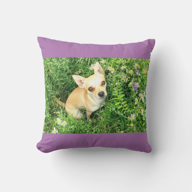 Purple chihuahua throw pillow. cushion (Front)