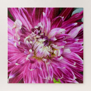 Purple Chrysanthemum  -  Flower 20x20 Jigsaw Puzzle