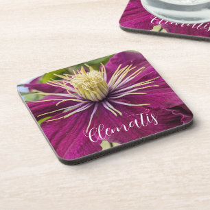 Purple Clematis Bloom Floral Coaster