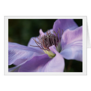 Purple Clematis Card