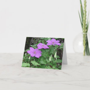 purple clematis card